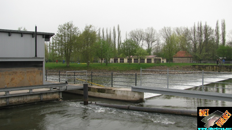 Wasser Schnecke Artern