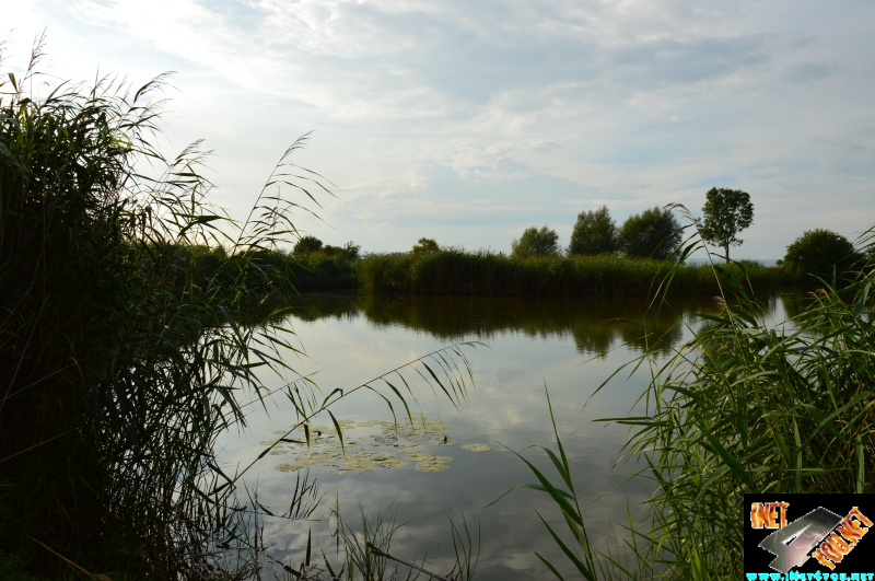 Bilderserie Schönfelder See August 14