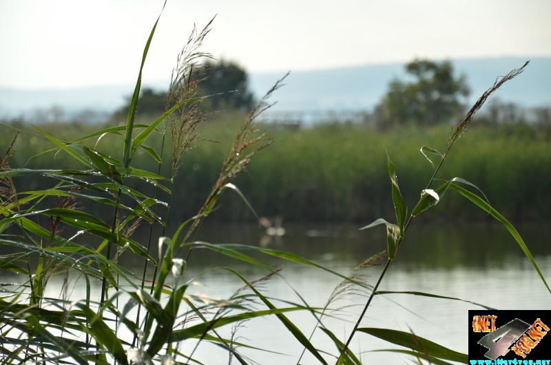 Bilderserie Schönfelder See August 14