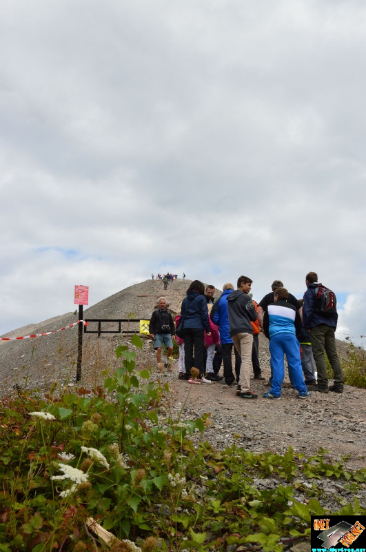 Haldenbesteigung Höhe Linde 08.2014