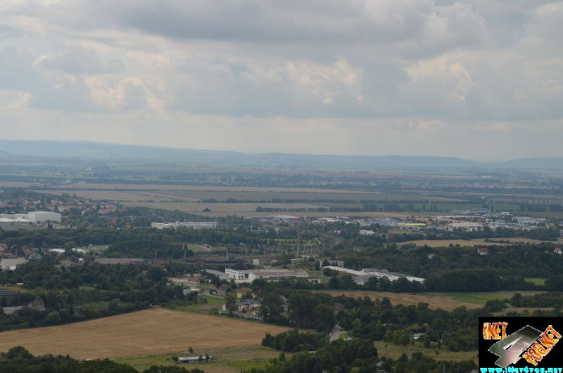 Haldenbesteigung Höhe Linde 08.2014