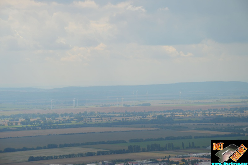 Haldenbesteigung Höhe Linde 08.2014