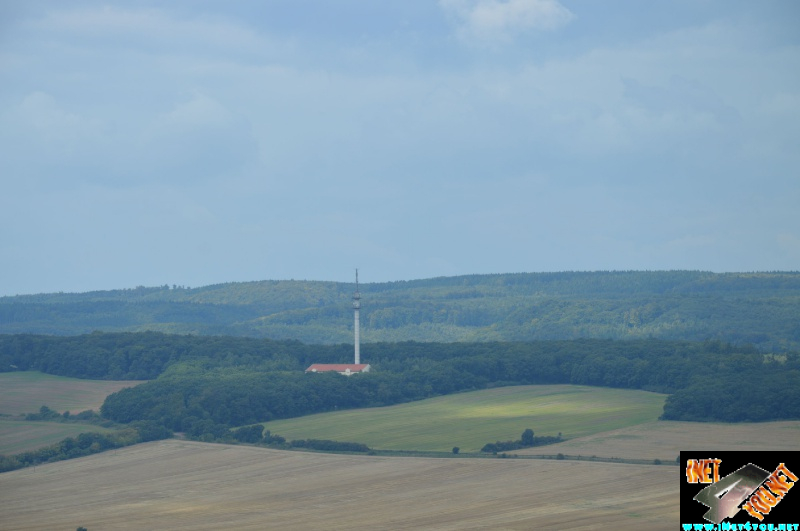 Haldenbesteigung Höhe Linde 08.2014