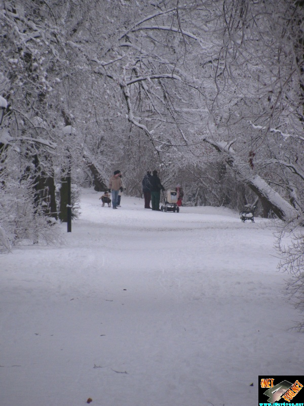 Artern 2010