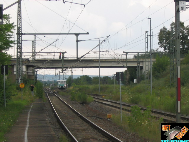 Ferkeltaxi Artern