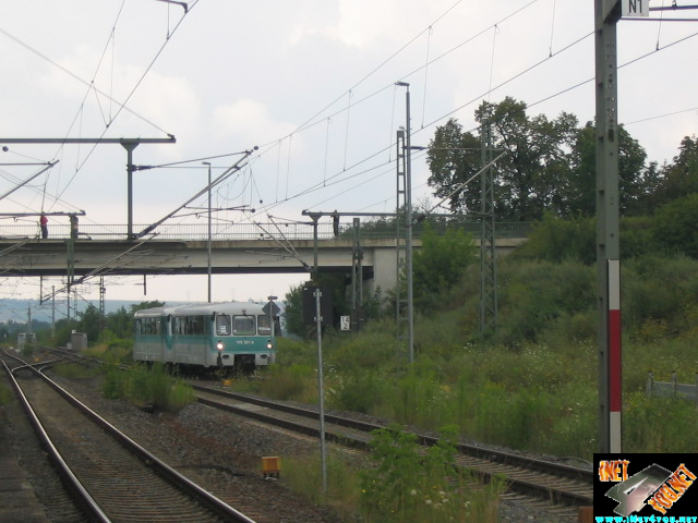 Ferkeltaxi Artern
