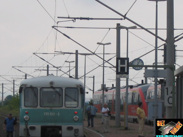 Ferkeltaxi Artern