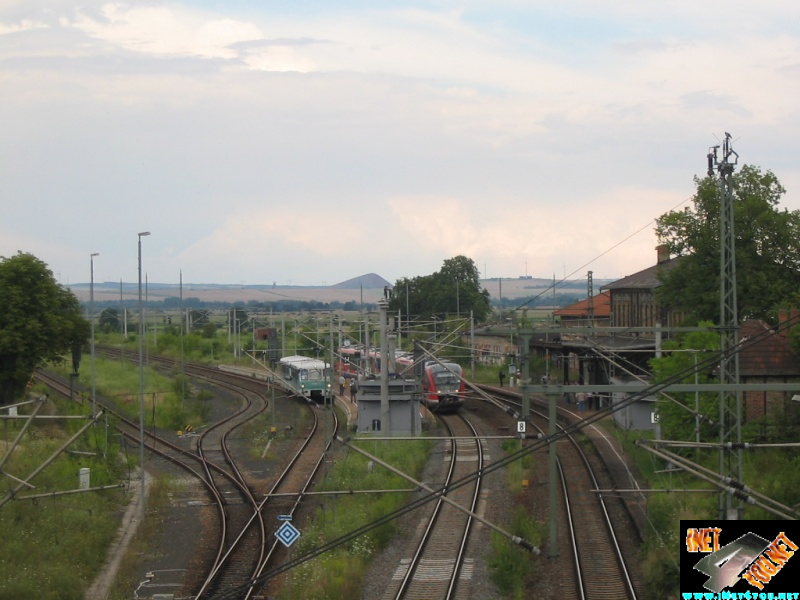 Ferkeltaxi Artern