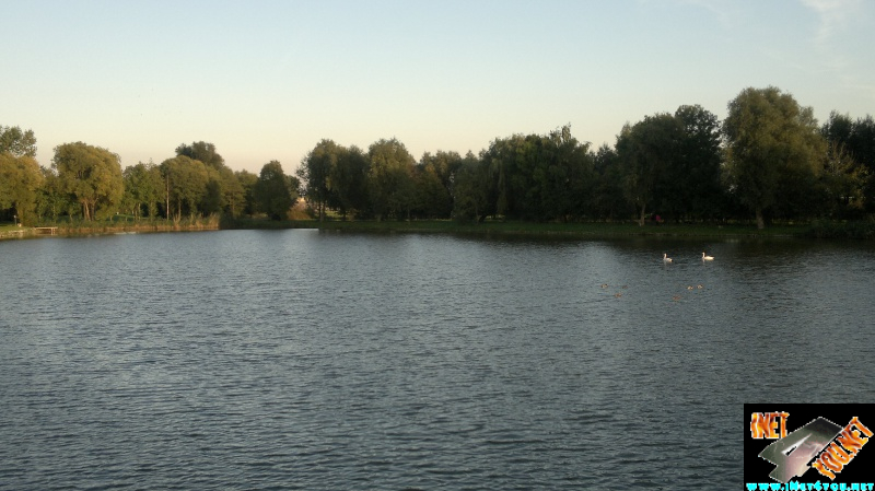 Schönfelder See 