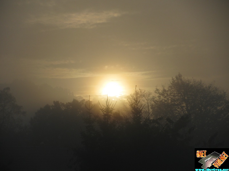 Oktobermorgen im Nebel