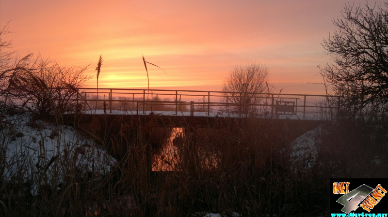 Winterbilder 2014