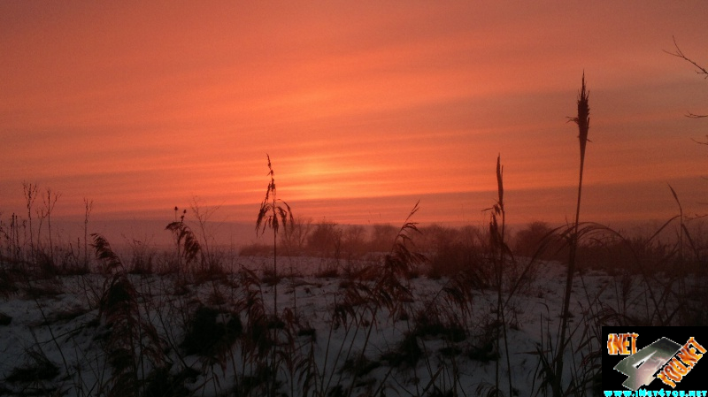Winterbilder 2014
