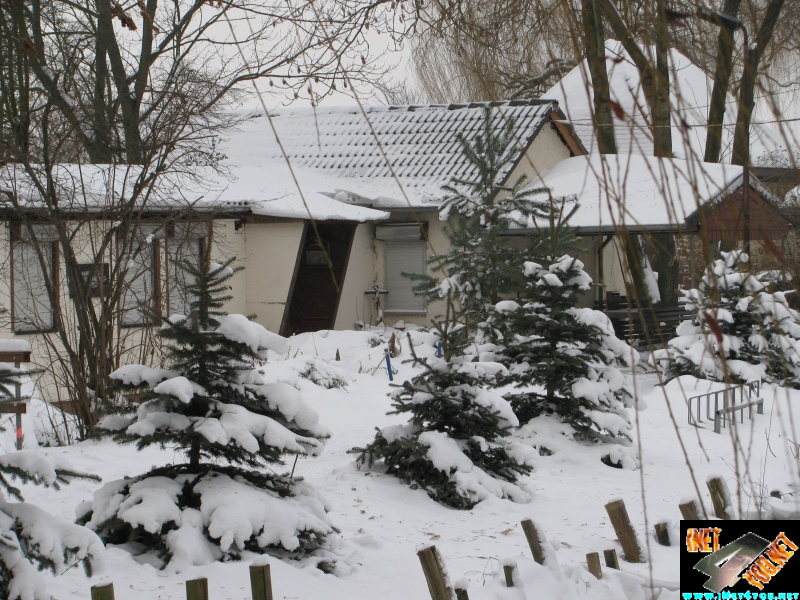 Artern 2010