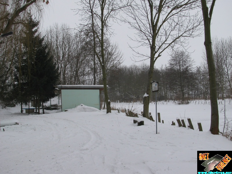 Artern 2010