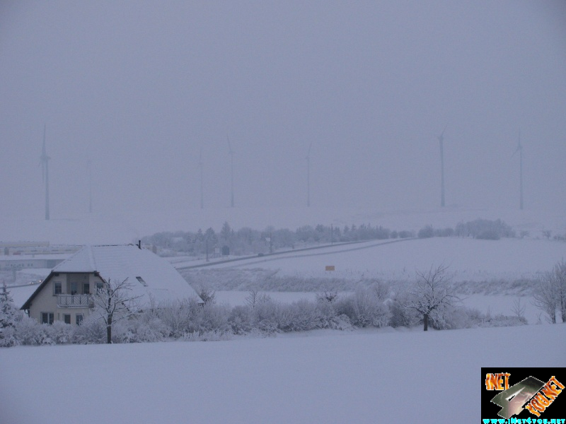 Artern 2010