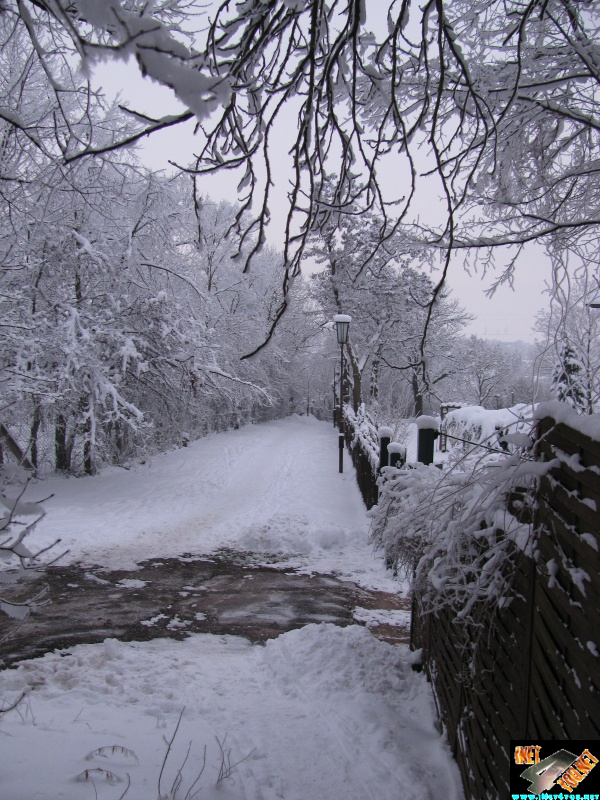 Artern 2010