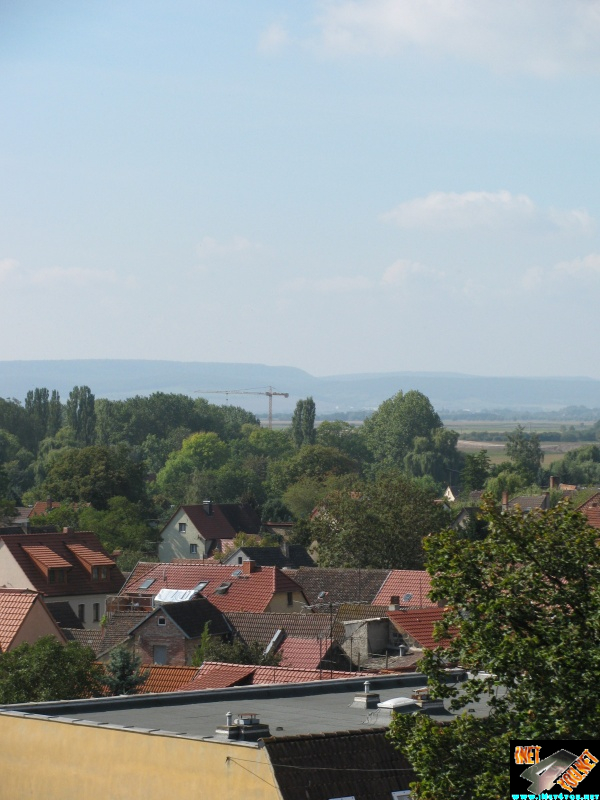 Artern 2010
