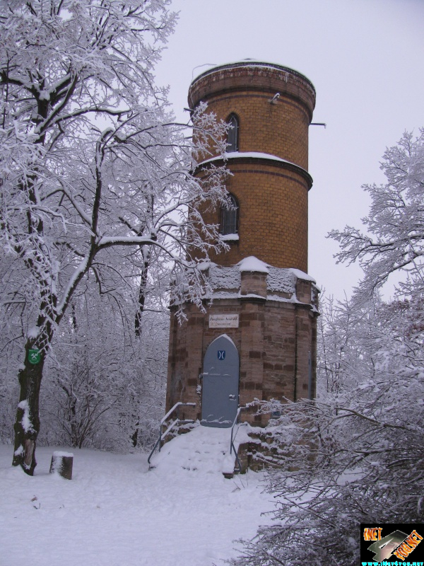 Artern 2010