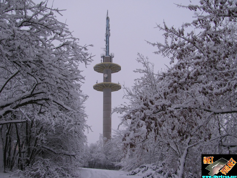 Artern 2010