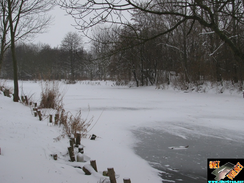 Artern 2010