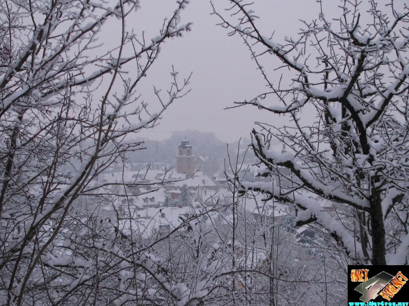 Artern 2010