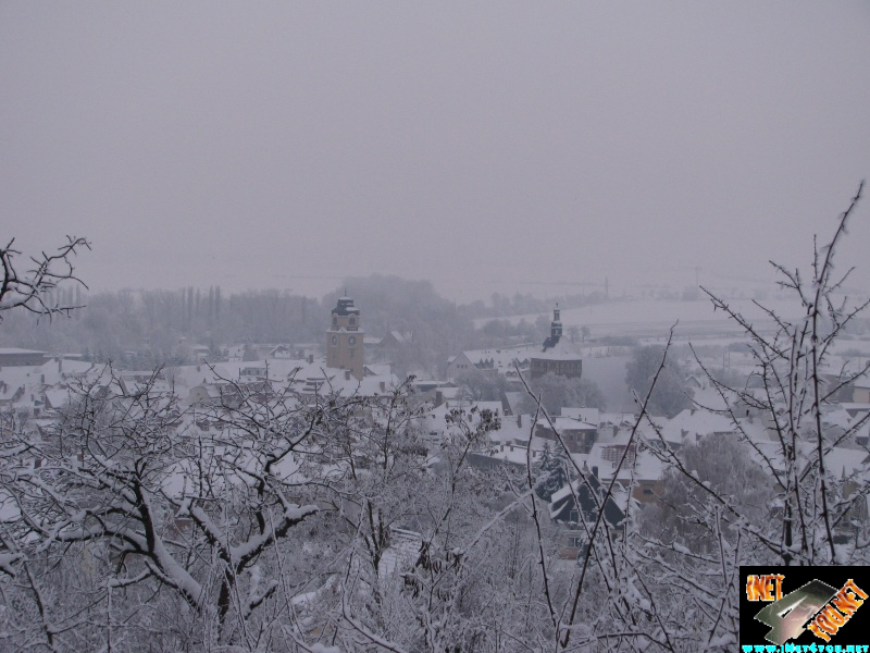 Artern 2010