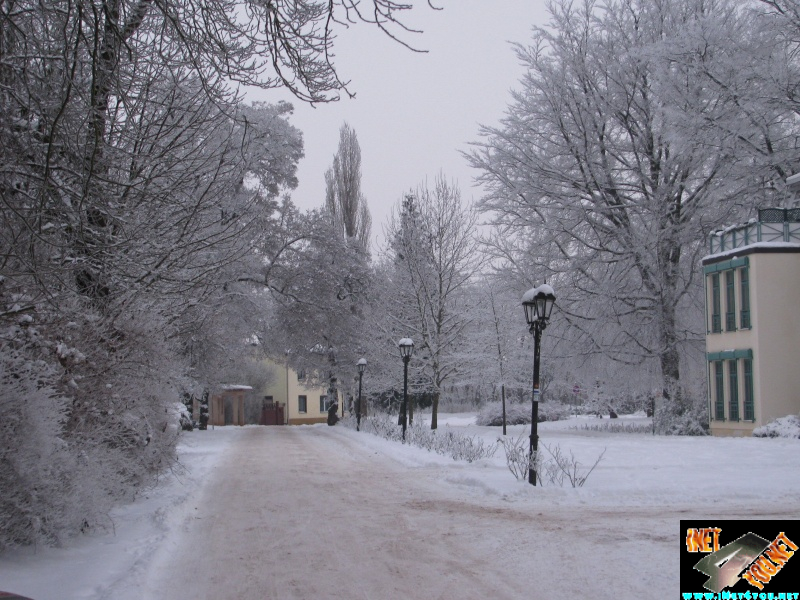 Artern 2010