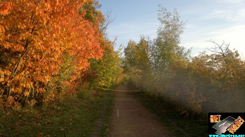 Goldener Oktober