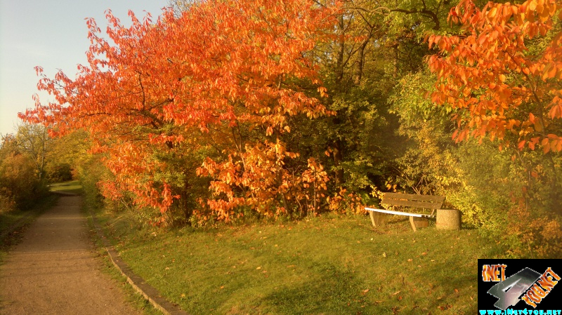 Goldener Oktober
