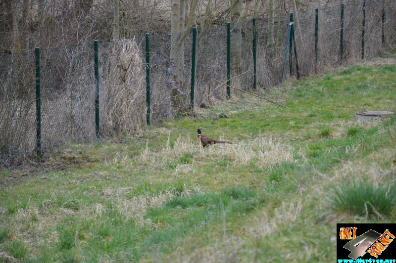 Artern Jahr 2015_3