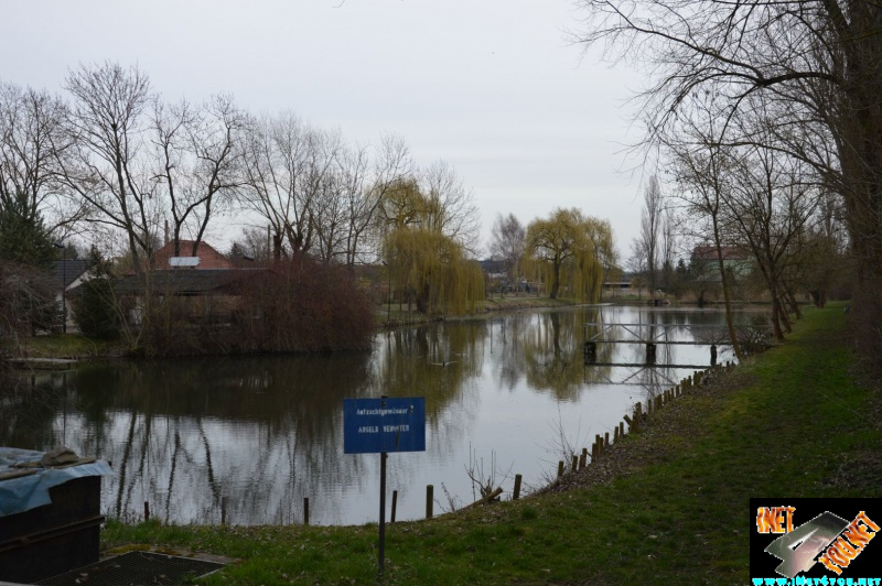 Artern Jahr 2015_4