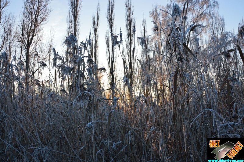Artern Jahr 2015_14