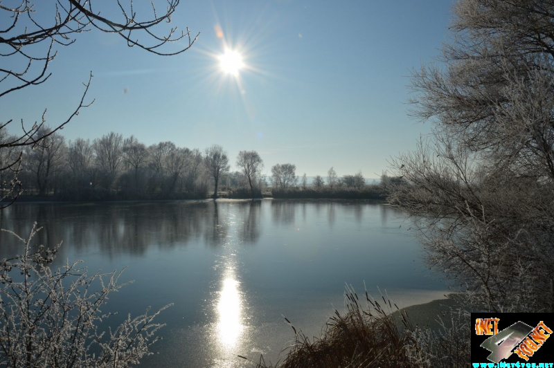 Schönfeld_17