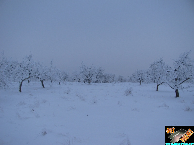 Artern 2010