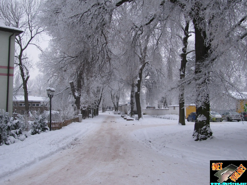 Artern 2010