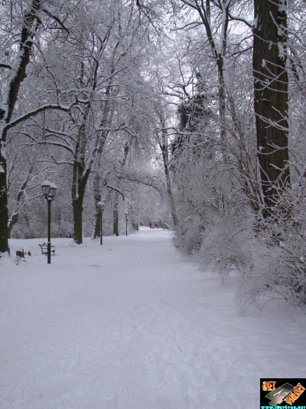 Artern 2010