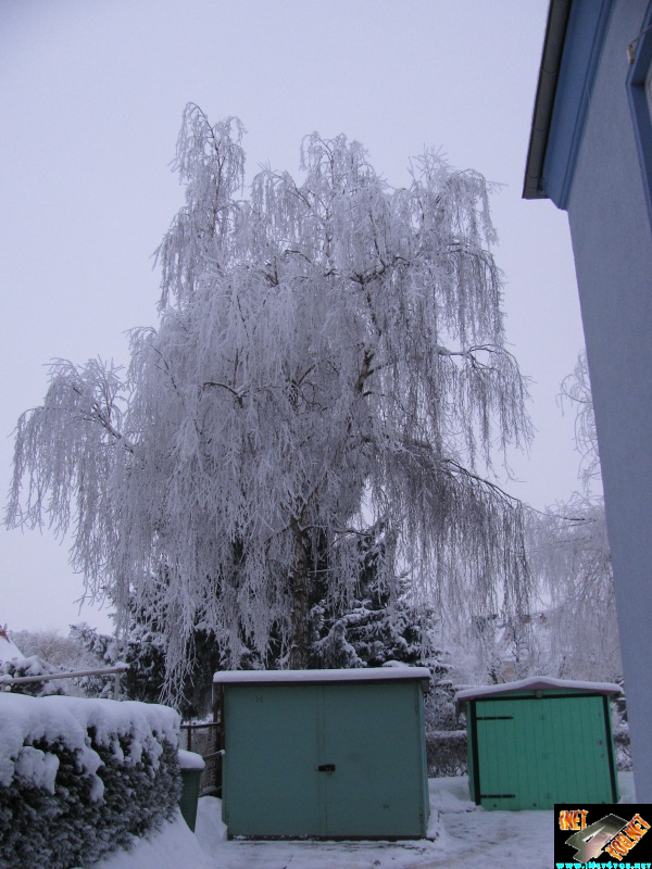 Artern 2010