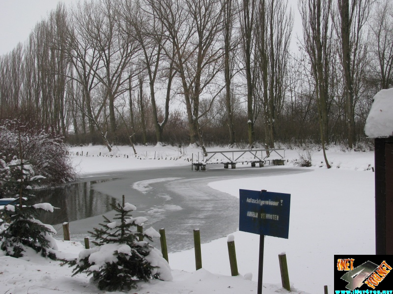 Artern 2010