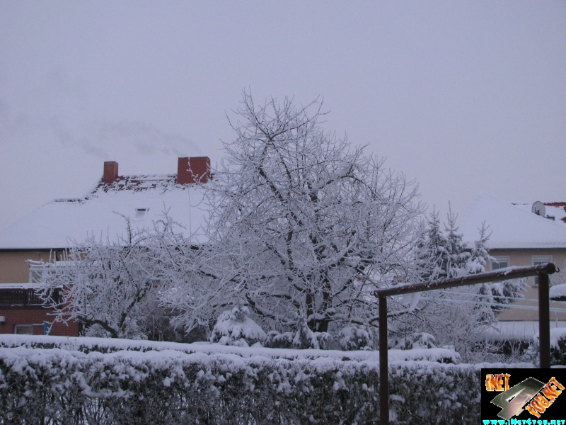 Artern 2010