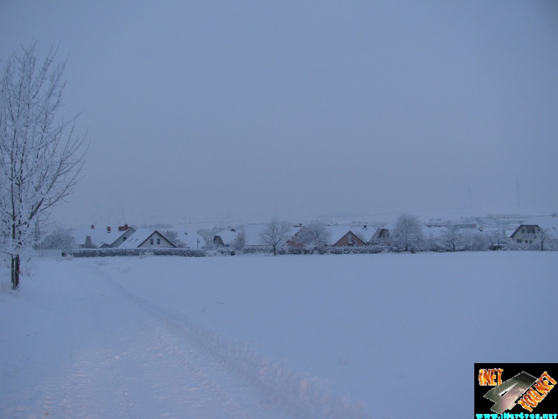 Artern 2010