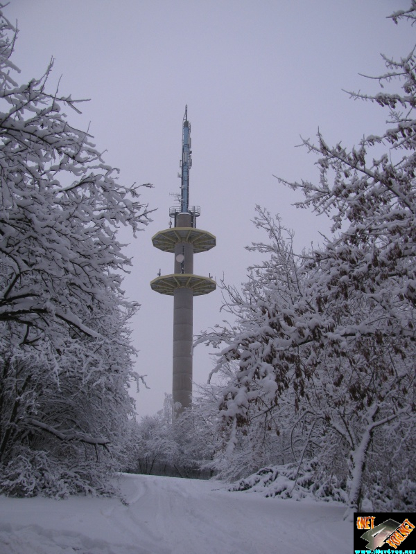 Artern 2010