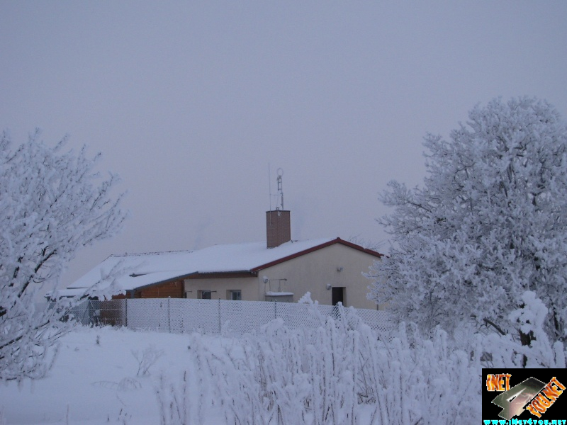 Artern 2010