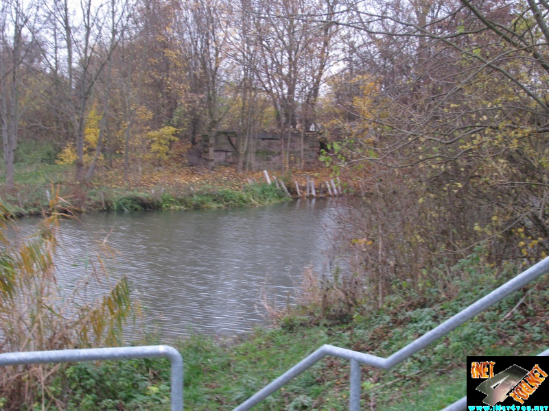 Artern 2010