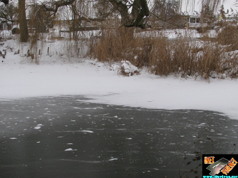 Artern 2010