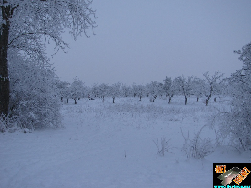 Artern 2010