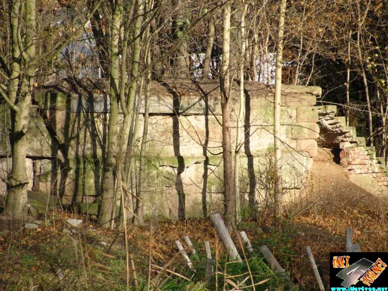 Artern 2010