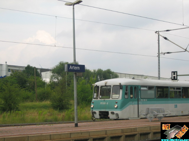 Ferkeltaxi Artern