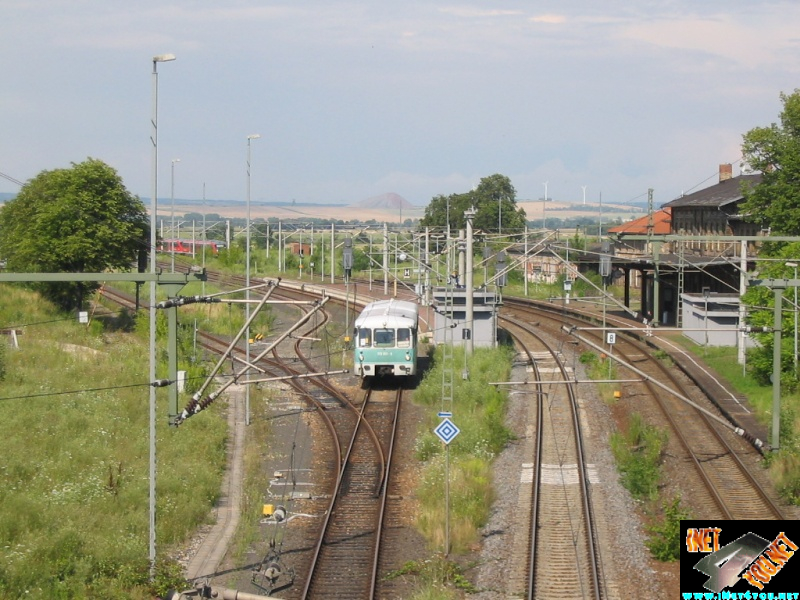 Ferkeltaxi Artern