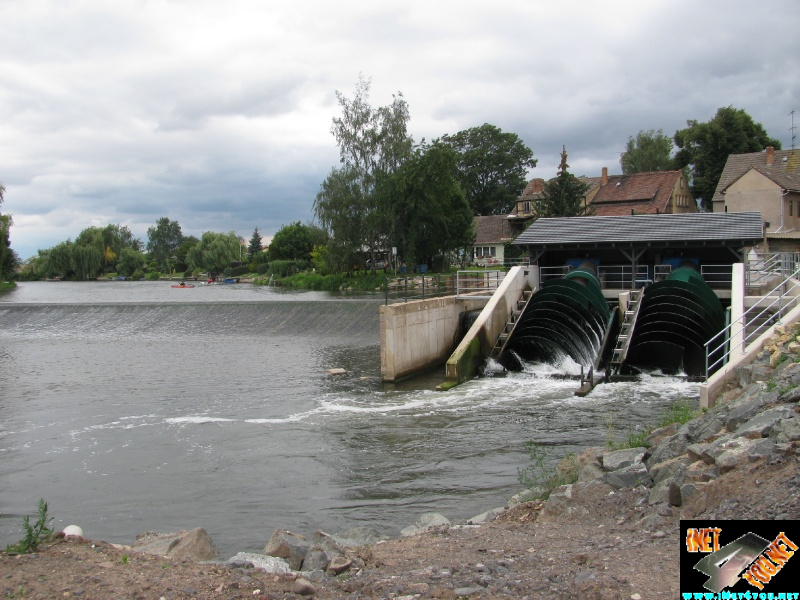 Artern 2011