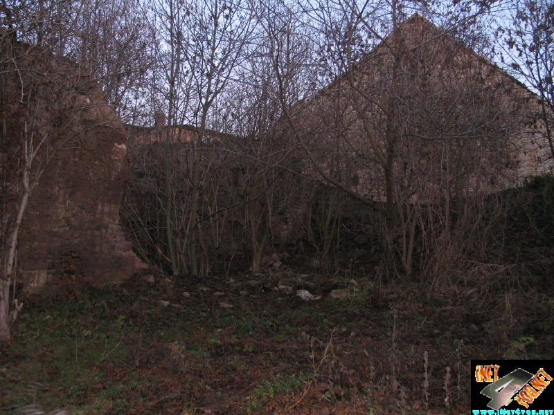 Artern 2011